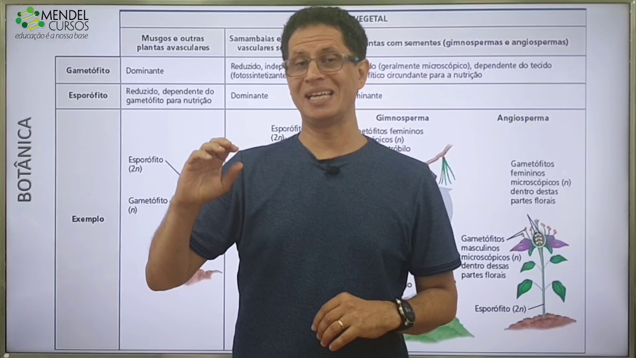 Botânica - introdução.