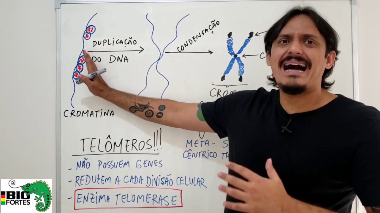 Núcleo celular