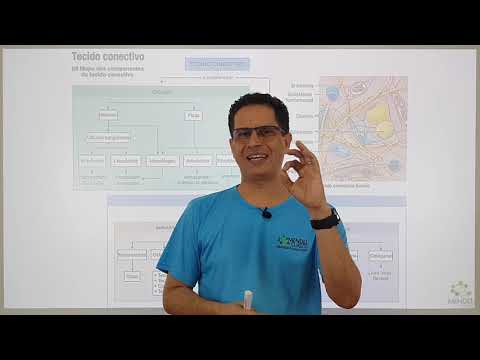 Histologia - Tecido conjuntivo