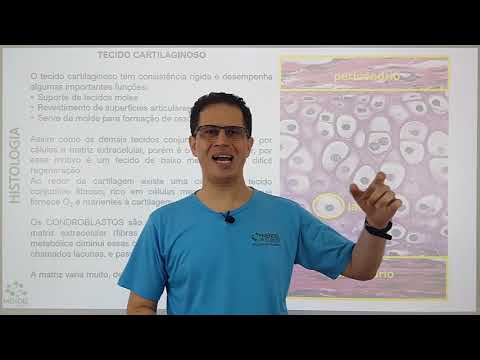 Histologia - tecido cartilaginoso completo
