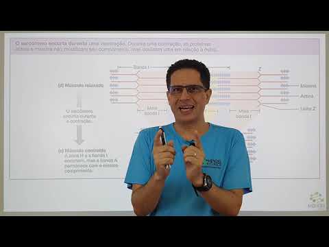 Histologia - Tecido muscular