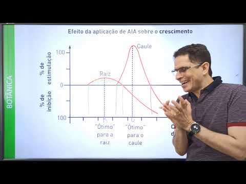 hormônios vegetais3