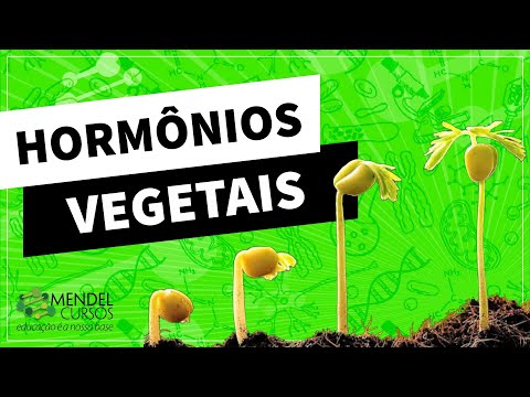 Hormônios vegetais e tropismo -  PROF MICHEL - MENDEL CURSOS