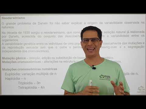 evolução teorias