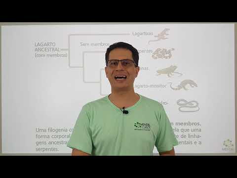 evidencias da evolução