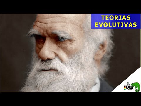 Teorias evolutivas: Darwin, Lamarck e Neodarwinismo  