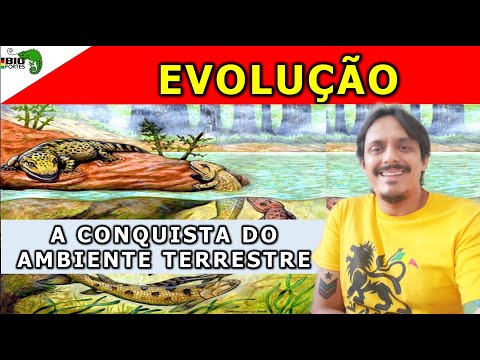 A conquista do ambiente terrestre