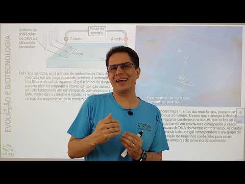 biotecnologia