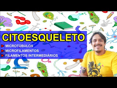 Citoesqueleto - Citologia
