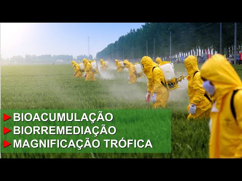 Bioacumulação, magnificação trófica e biorremediação
