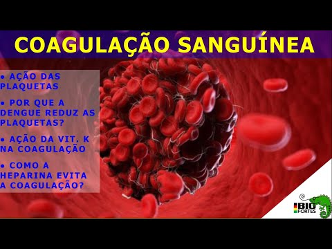 Como ocorre a coagulação sanguínea
