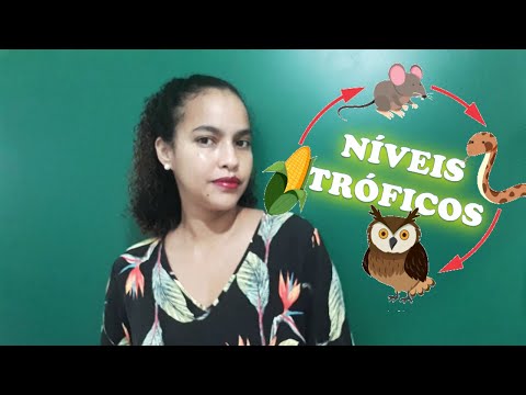 Ecologia Níveis Tróficos