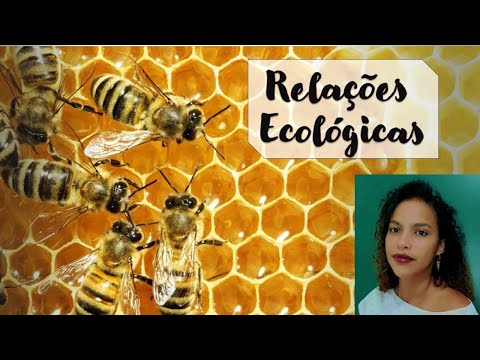 Relações Ecológicas - intraespecíficas e interespecíficas