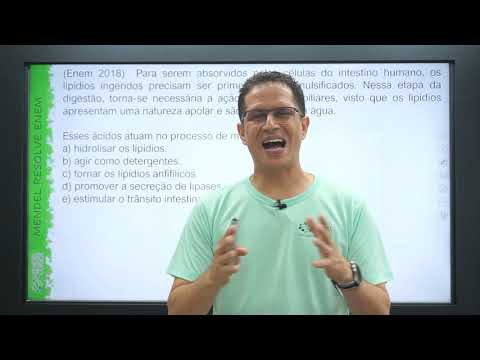 Vai cair no ENEM - Fisiologia humana - digestão