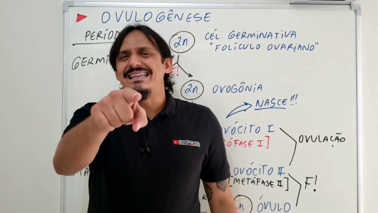 Gametogênese : Formação dos gametas