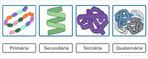 Proteínas