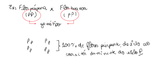 Confira a correção de Biologia da UECE realizada pela prof. Anna