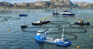 Engenharia de Pesca