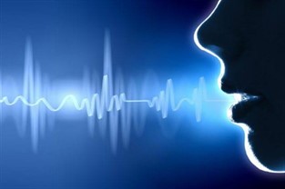 Fonoaudiologia