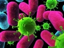 Microbiologia e Imunologia